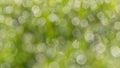 White light spots on green abstract bokeh background Royalty Free Stock Photo