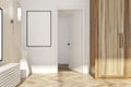 White and light wooden living room, door