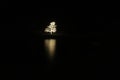 White Lights on a Tree with Reflection on Ice Royalty Free Stock Photo