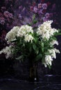 White Lilac Agnes Smith flowers - syringa prestoniae agnes smith in glas vase and dark purple flower background Royalty Free Stock Photo