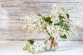 White lilac bouquet in glass vase on wooden table. Spring branches of blooming lilac festive bouquet of flowers with copy space Royalty Free Stock Photo