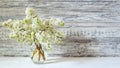 White lilac bouquet in glass vase on wooden table. Spring branches of blooming lilac festive bouquet of flowers. Long web banner Royalty Free Stock Photo