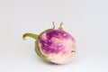 White-lilac eggplant fruit Royalty Free Stock Photo