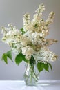 White lilac flowers in glass vase on light grey background Royalty Free Stock Photo