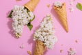 White lilac flowers in waffle ice cream cones on pink background. Flat lay Royalty Free Stock Photo