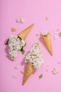 White lilac flowers in waffle ice cream cones on pink background. Flat lay Royalty Free Stock Photo