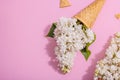 White lilac flowers in waffle ice cream cones on pink background. Flat lay Royalty Free Stock Photo