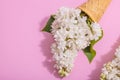 White lilac flowers in waffle ice cream cones on pink background. Flat lay Royalty Free Stock Photo