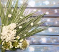 White lilac, grass and daisies on a wooden background