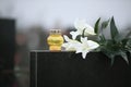 White lilies and candle on granite tombstone outdoors. Funeral ceremony