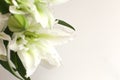 White lilies on a old wooden background. lilies on a white background.