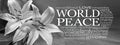 White lilies peace symbol word cloud Royalty Free Stock Photo