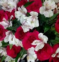 White Lillis and Red Roses