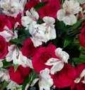 White Lillis and Red Roses Royalty Free Stock Photo