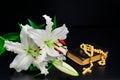 White lily  on black background rosary and Bible Royalty Free Stock Photo