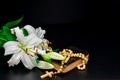 White lily  on black background rosary and Bible Royalty Free Stock Photo