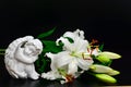 White lily on black background and white angel