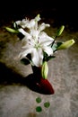 White lily bouquet Royalty Free Stock Photo