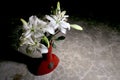 White lily bouquet Royalty Free Stock Photo