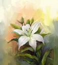 Oil painting white lily flower Royalty Free Stock Photo