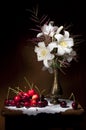 White Lily with Red Cherries Still life Royalty Free Stock Photo