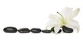 White lily and stones Royalty Free Stock Photo