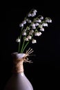 White Lily of the valley, Convallaria majalis Royalty Free Stock Photo