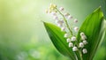 White Lily of the Valley Simplicity and Elegance Captured Creative AI