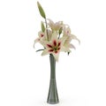 White Lily Vase on white. 3D illustration Royalty Free Stock Photo