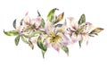 White Lily, Watercolor Royal Lilies Flowers Garland, Vintage Floral Greeting Card