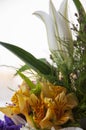 White lilyes, yellow and pink orchids, branch of lilac, chrysanthemums in the spring  tender bouquet on the background with window Royalty Free Stock Photo