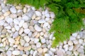 White limestone rocks and green grass, White rock under green le