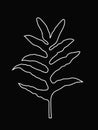 White Line Art of Fern Leaf, Tropical Jungle Leaves, Outline Leaves Vector Illustration, White Color on Black Background Royalty Free Stock Photo
