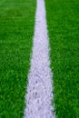 White line on green grass of a soccer field.