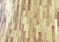 White line in hall playground. Renewal wooden floor Royalty Free Stock Photo