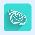 White line Mussel icon isolated with long shadow. Fresh delicious seafood. Green square button. Vector Royalty Free Stock Photo