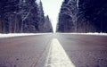 White line of road markings on asphalt, winter landscape on the road, trees in the forest, view of the road from below into the Royalty Free Stock Photo