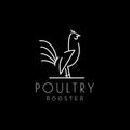 White line rooster poultry modern logo design