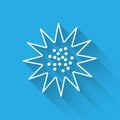 White line Sea urchin icon isolated with long shadow. Vector.