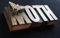 Sphinx moth on old wood type word Royalty Free Stock Photo