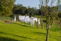 White linen on clothesline in garden. White bedsheets on fresh air in the village. Housework concept. Outdoor laundry. Royalty Free Stock Photo