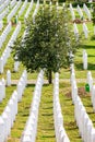 White lines of tombstones as a memorial to Srebrenica massacre in Potocari, Bosnia and Herzegovina