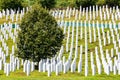 White lines of tombstones as a memorial to Srebrenica massacre in Potocari, Bosnia and Herzegovina