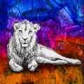 White lion drawing on colourful blue purple orange background.