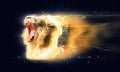 White lion with open jaws, abstract animal concept Royalty Free Stock Photo