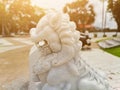 Beautiful white lion statue adorned the place Royalty Free Stock Photo