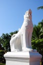 White lion statue Royalty Free Stock Photo