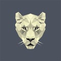White lioness lowpoly Royalty Free Stock Photo
