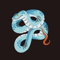White lipped pit or tree viper. Poisonous snake with blue patterned scale. Tropical serpent, venomous reptile. Exotic