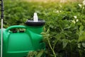 White little bottle of pesticide, herbicide for protecting plants from diseases and pests with mock up stands on